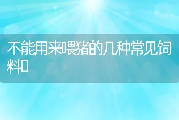 不能用来喂猪的几种常见饲料