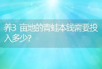 养3亩地的青蛙本钱需要投入多少？