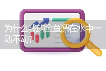 为什么我的金鱼漂在水中一动不动？