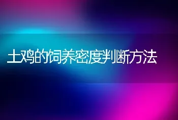 土鸡的饲养密度判断方法