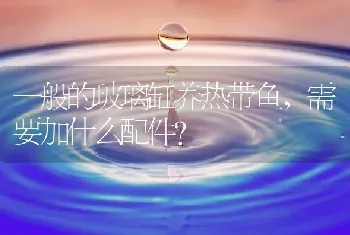 一般的玻璃缸养热带鱼，需要加什么配件？