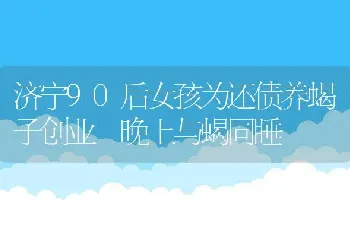 济宁90后女孩为还债养蝎子创业 晚上与蝎同睡