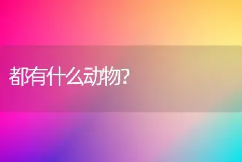 都有什么动物？