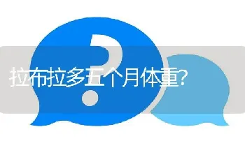 拉布拉多五个月体重？