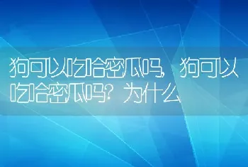 狗可以吃哈密瓜吗，狗可以吃哈密瓜吗？为什么