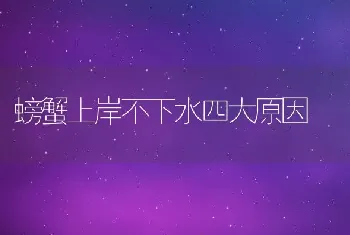 螃蟹上岸不下水四大原因