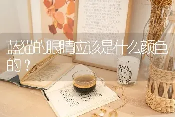 多肉吉娃娃摊大饼了怎么办，怎么才能让他叶子包起来？