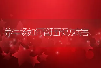 养牛场如何管理预防病害