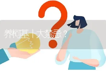 养柯基十大禁忌？