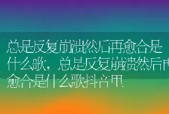 总是反复崩溃然后再愈合是什么歌，总是反复崩溃然后再愈合是什么歌抖音里