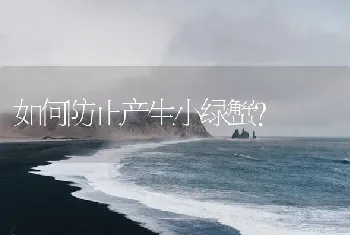 如何防止产生小绿蟹？