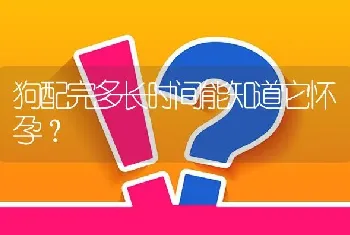 狗配完多长时间能知道它怀孕？