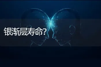 银渐层寿命？