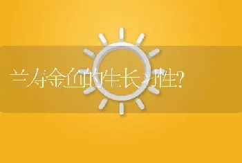 兰寿金鱼的生长习性？