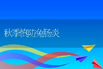 鱼类的安全越冬措施