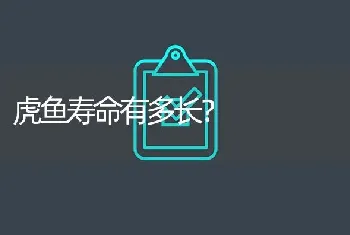 虎鱼寿命有多长？