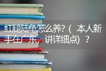 红腿陆龟怎么养？(本人新手在广东，讲详细点)？