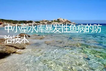 中小型水库暴发性鱼病的防治技术