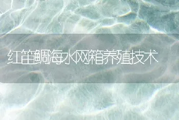 红笛鲷海水网箱养殖技术