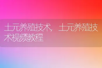 土元养殖技术，土元养殖技术视频教程