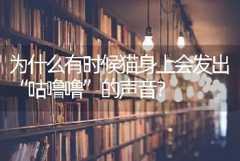 为什么有时候猫身上会发出“咕噜噜”的声音？