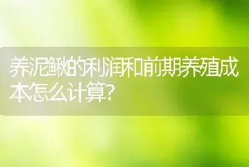 养泥鳅的利润和前期养殖成本怎么计算？