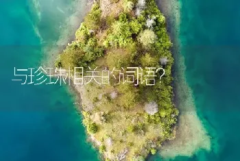 与珍珠相关的词语？