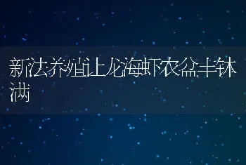 新法养殖让龙海虾农盆丰钵满