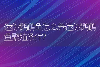 迷你鹦鹉鱼怎么养迷你鹦鹉鱼繁殖条件？