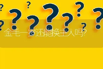 金毛一岁还能换主人吗？