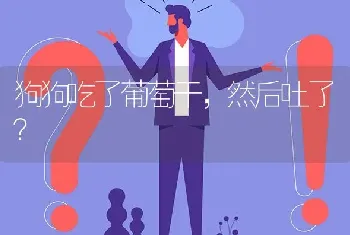 狗狗吃了葡萄干，然后吐了？