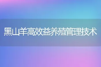 黑山羊高效益养殖管理技术