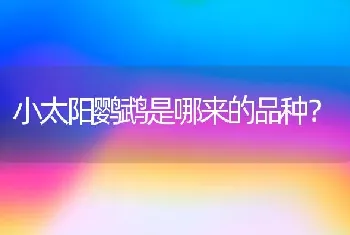 金毛什么时候变？