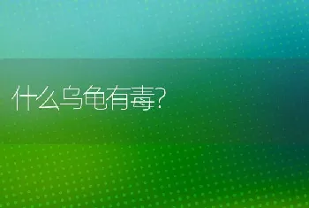 为什么柯基一看到我就趴下？