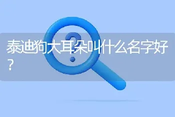 泰迪狗大耳朵叫什么名字好？