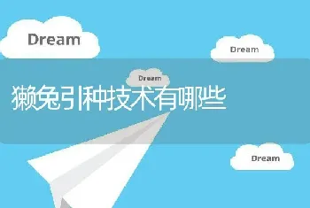 獭兔引种技术有哪些