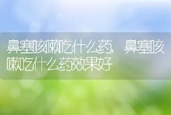 鼻塞咳嗽吃什么药，鼻塞咳嗽吃什么药效果好