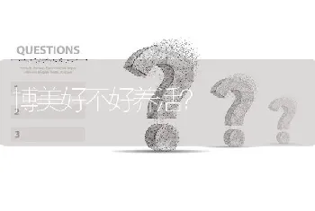 博美好不好养活？