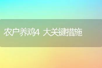 农户养鸡4大关键措施