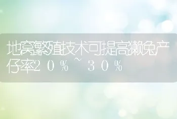 地窝繁殖技术可提高獭兔产仔率20%~30%