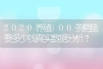 2020养殖100条鳄鱼要多少钱真实数据分析？