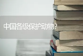 中国各级保护动物？