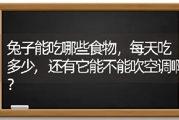 兔子能吃哪些食物，每天吃多少,还有它能不能吹空调啊？