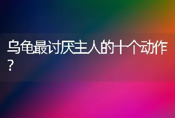 乌龟最讨厌主人的十个动作？