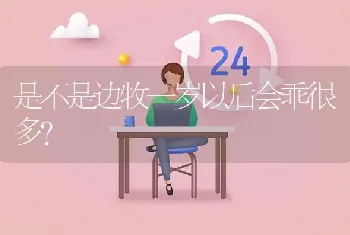 是不是边牧一岁以后会乖很多？