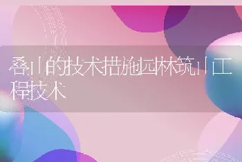 叠山的技术措施园林筑山工程技术