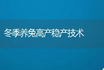 冬季养兔高产稳产技术