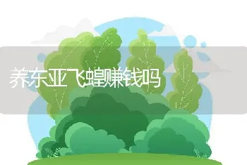 养东亚飞蝗赚钱吗