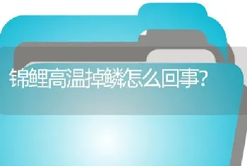 锦鲤高温掉鳞怎么回事？