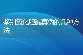 蛋鸡饲料不要过量添加维生素